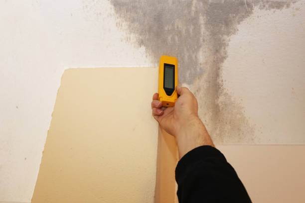 Best Mold Documentation for Insurance Claims  in Pike Creek, DE