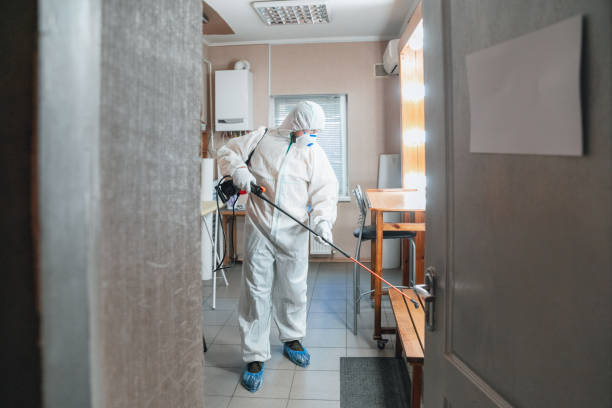 Asbestos and Lead Testing During Mold Inspection in Pike Creek, DE