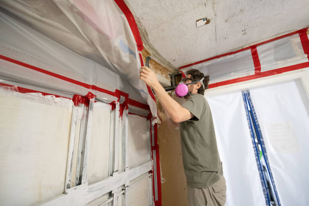Best Crawl Space Mold Remediation  in Pike Creek, DE