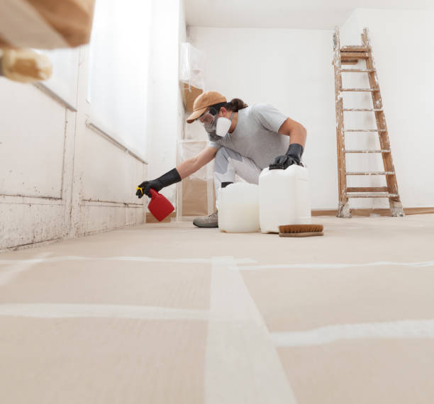 Best Water Damage & Mold Remediation  in Pike Creek, DE